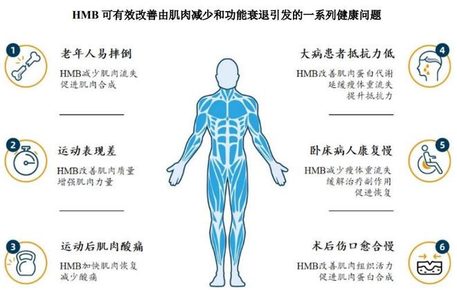 集团:扎根运动健康赛道凭多元布局赢长远未来PG电子麻将胡了模拟器HMB全球龙头技源(图8) 集团:扎根运动健康赛道凭多元布局赢长远未来PG电子麻将胡了模拟器HMB全球龙头技源(图8)