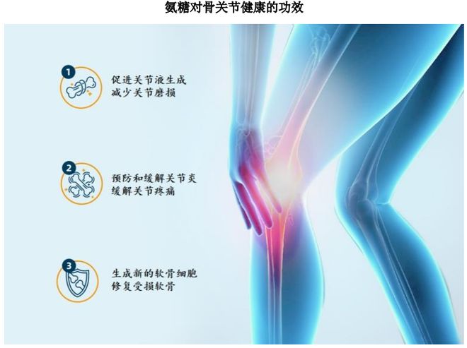 集团:扎根运动健康赛道凭多元布局赢长远未来PG电子麻将胡了模拟器HMB全球龙头技源(图6) 集团:扎根运动健康赛道凭多元布局赢长远未来PG电子麻将胡了模拟器HMB全球龙头技源(图6)