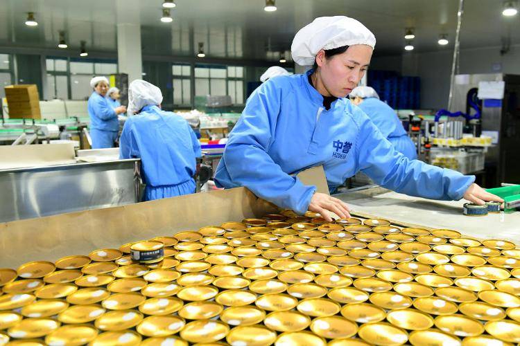 十袋宠物粮就有三袋产自山东麻将胡了模拟器