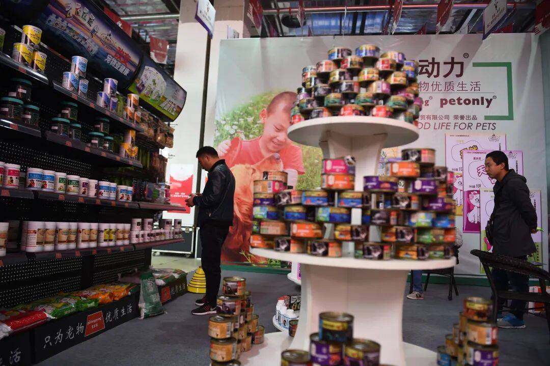 全国一半的猫和狗河北农业县大逆袭！麻将胡了2模拟器试玩年入百亿喂饱了(图3)