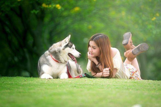 产业链分析：现状、痛点、需求、趋势PG麻将胡了免费模拟器宠物食品行业