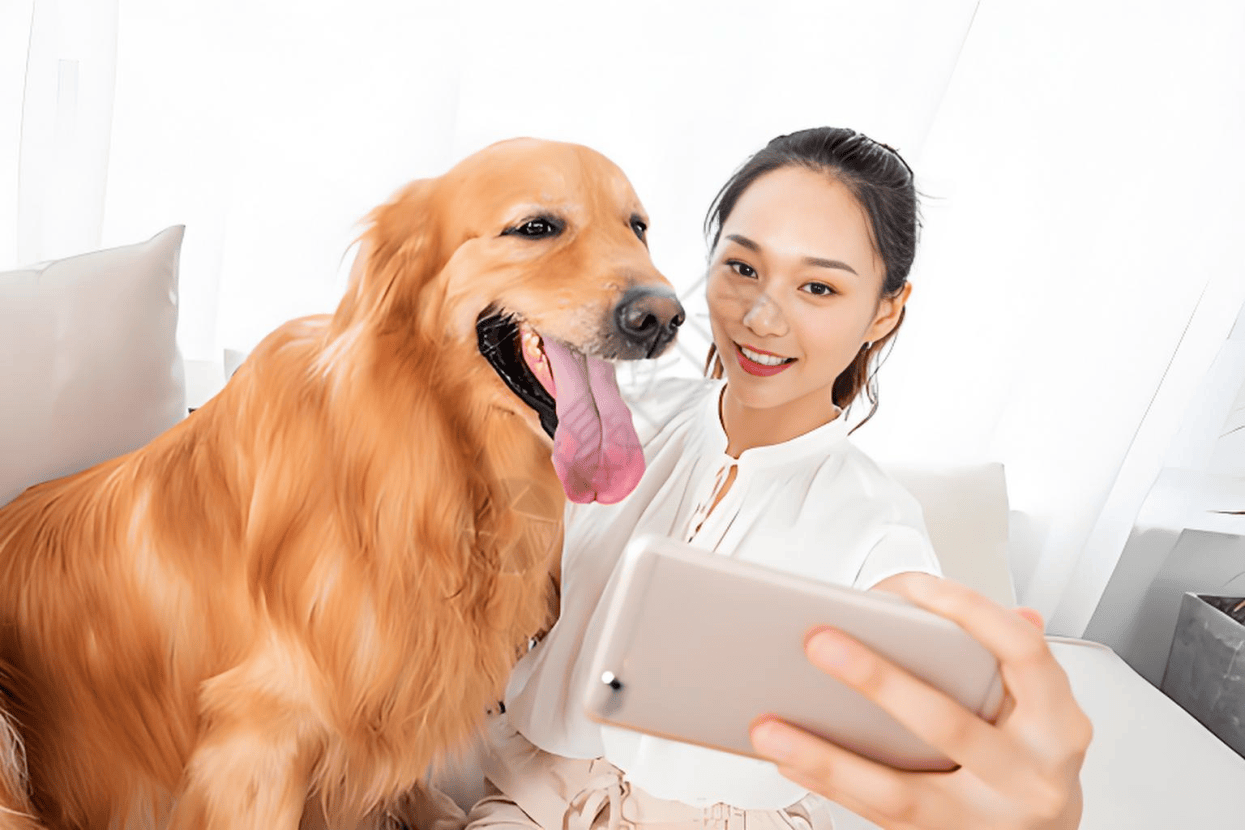 产业链分析：现状、痛点、需求、趋势PG麻将胡了免费模拟器宠物食品行业(图2)