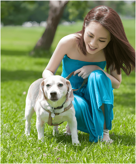 产业链分析：现状、痛点、需求、趋势PG麻将胡了免费模拟器宠物食品行业(图3)