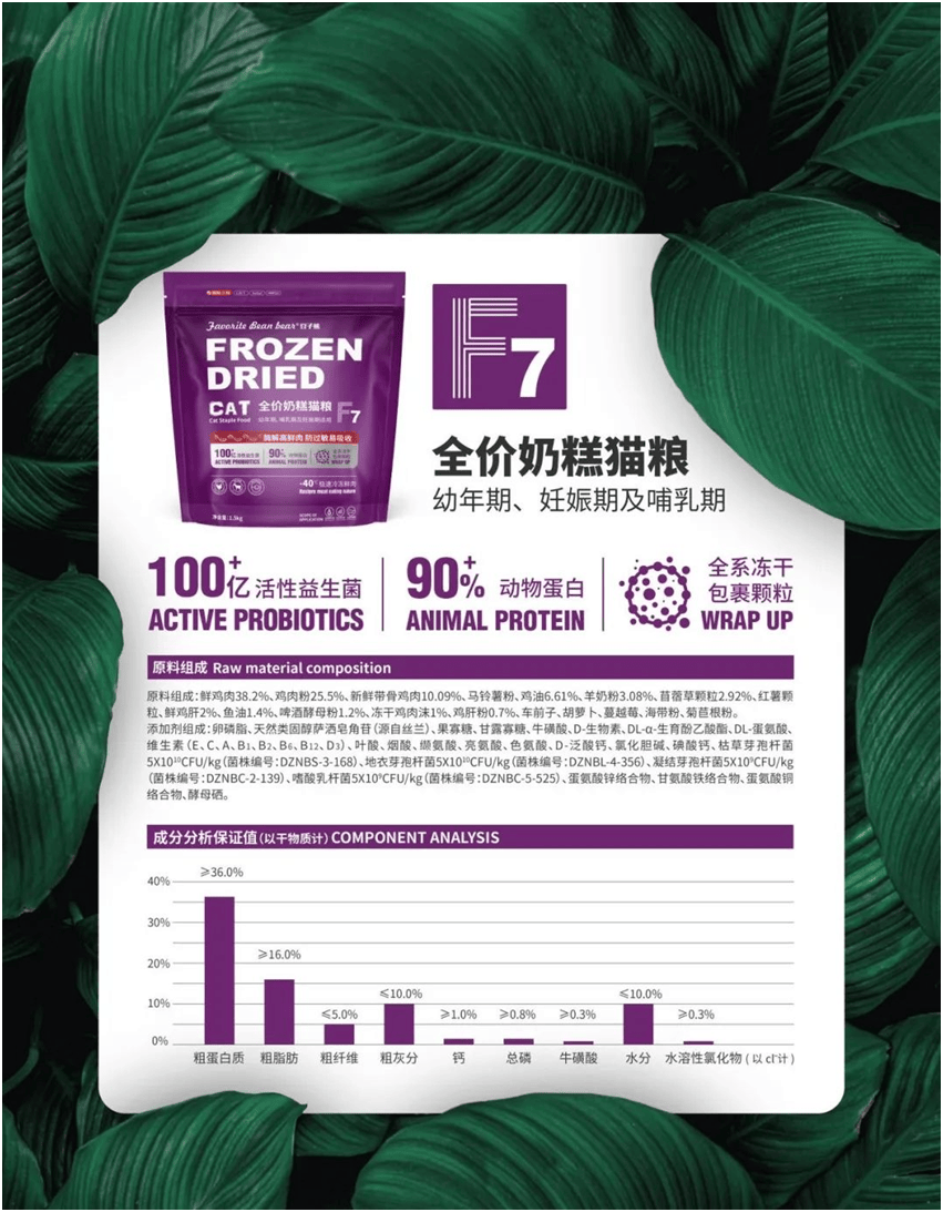 食品品牌上新不断上心永远麻将胡了试玩豆子熊宠物(图6)