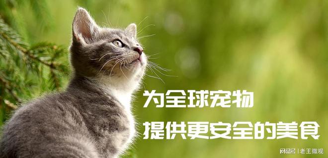 匠心品质引领宠物食品新风尚麻将胡了模拟器汉欧宠物：(图3)