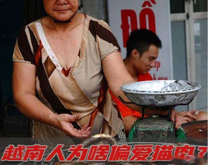 猫不惜跨国走私：从舌尖陋习到社会撕裂麻将胡了app越南一年狂吃400万只(图3)