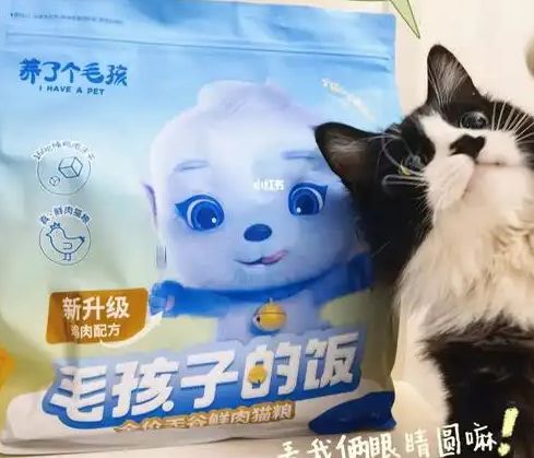 粮！三只松鼠靠什么重返宠物食品赛道麻将胡了试玩零食巨头盯上毛孩子口(图2)