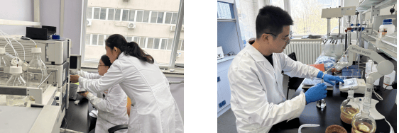 卓越之魂：营养源所新增荣誉资质麻将胡了网址砥砺创新之翼 铸就(图7)