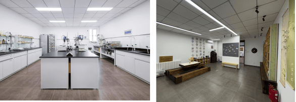 卓越之魂：营养源所新增荣誉资质麻将胡了网址砥砺创新之翼 铸就(图2)