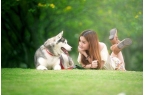 产业链分析：现状、痛点、需求、趋势PG麻